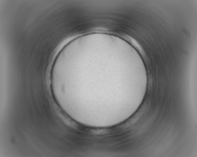 X0000112751435200910011145