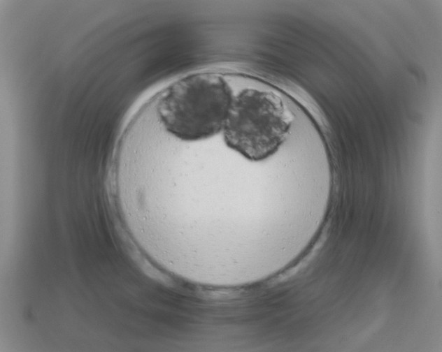 X0000112751436200910011145