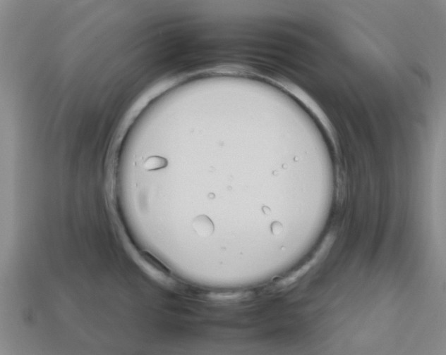 X0000112751437200910011145