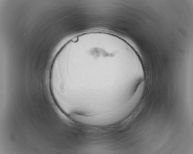 X0000112751438200910011145