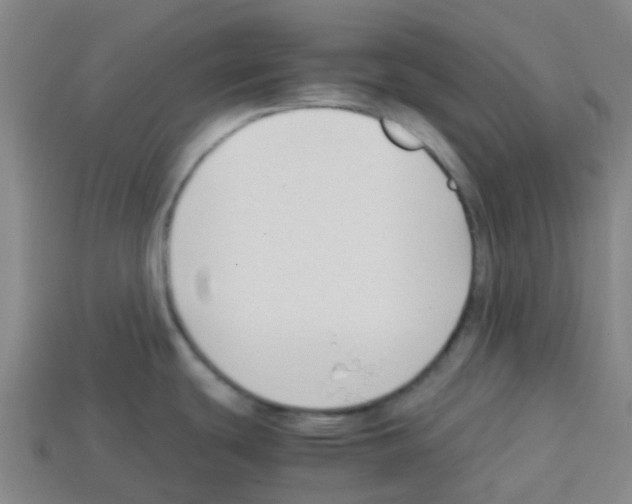 X0000112751439200910011145