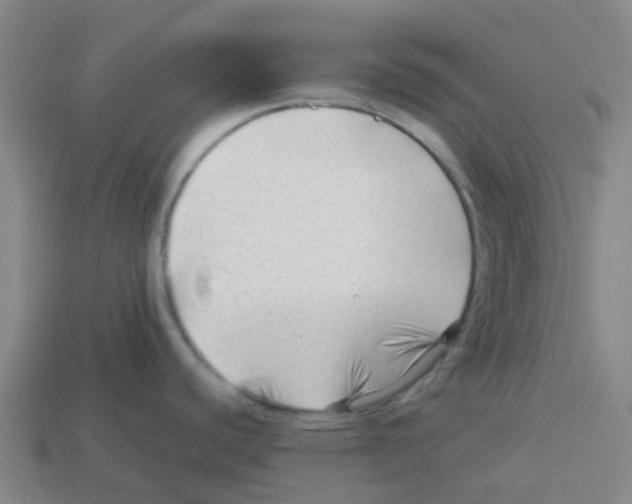 X0000112751440200910011145