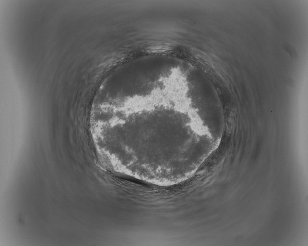 X0000112751441200910011144