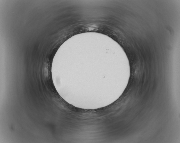 X0000112751442200910011144