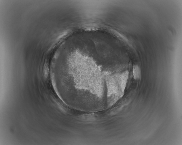 X0000112751444200910011144