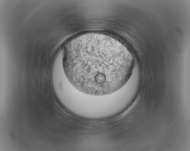 X0000112751449200910011144