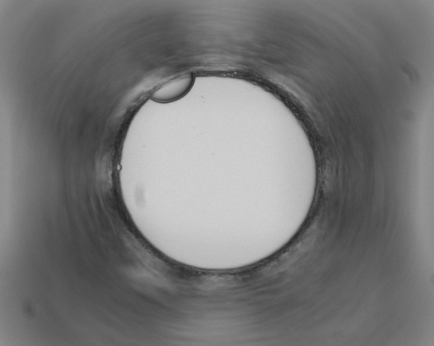 X0000112751451200910011144