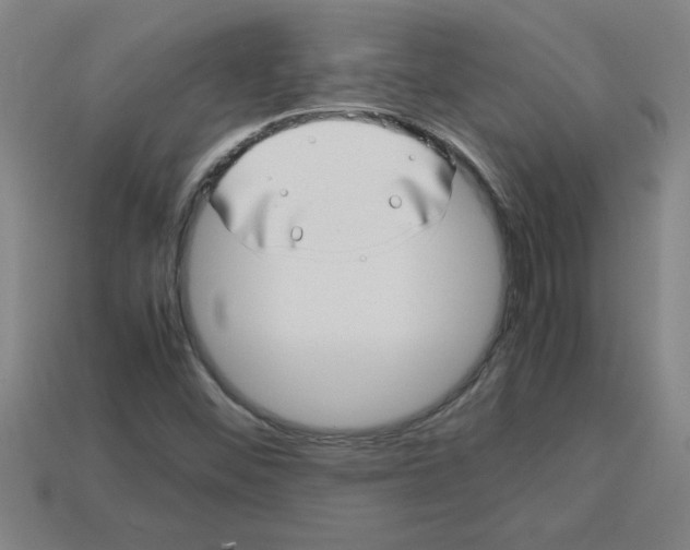 X0000112751452200910011144