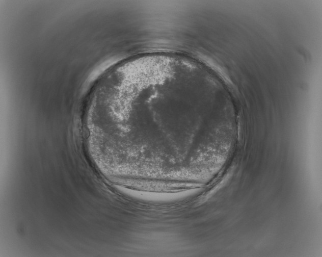 X0000112751453200910011144