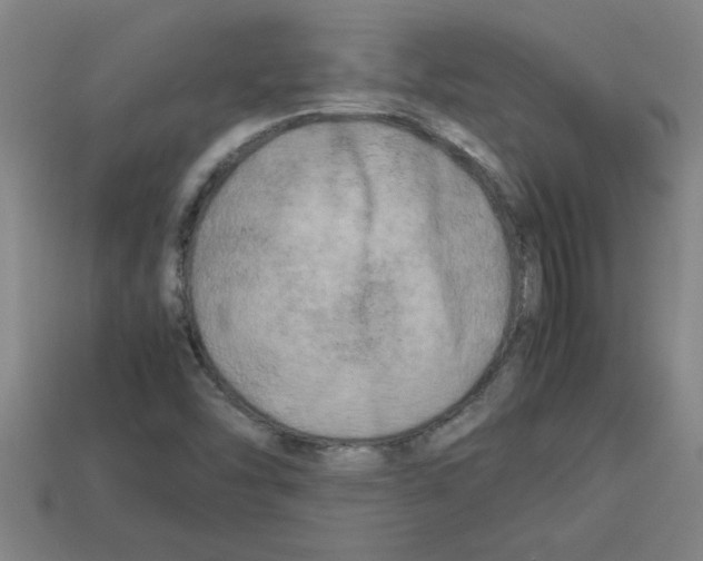 X0000112751454200910011144