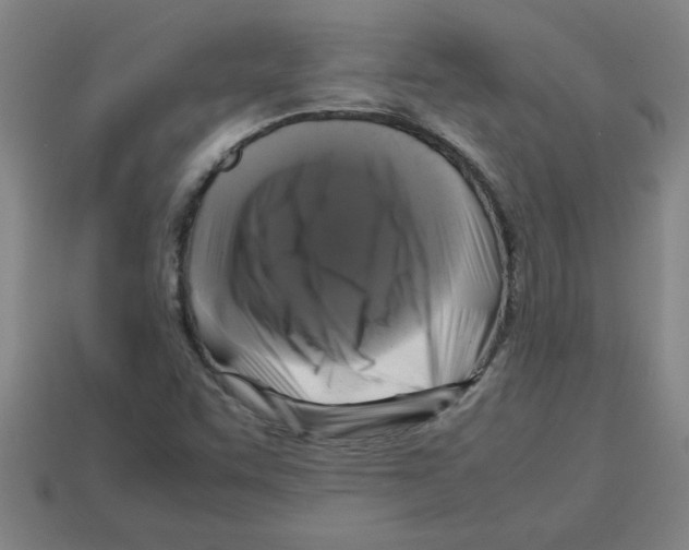 X0000112751455200910011144