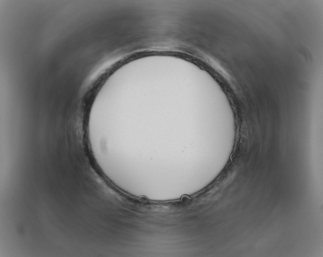 X0000112751456200910011144