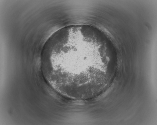 X0000112751457200910011144