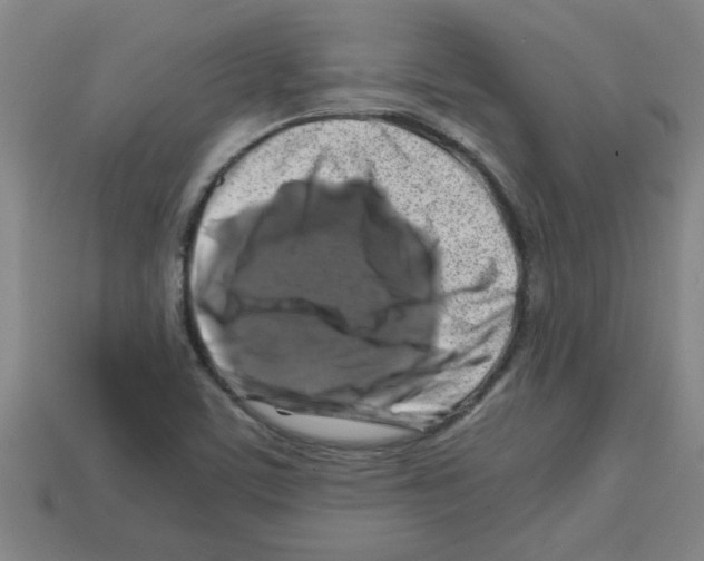 X0000112751459200910011144