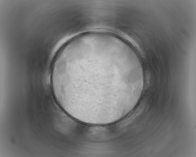 X0000112751462200910011144