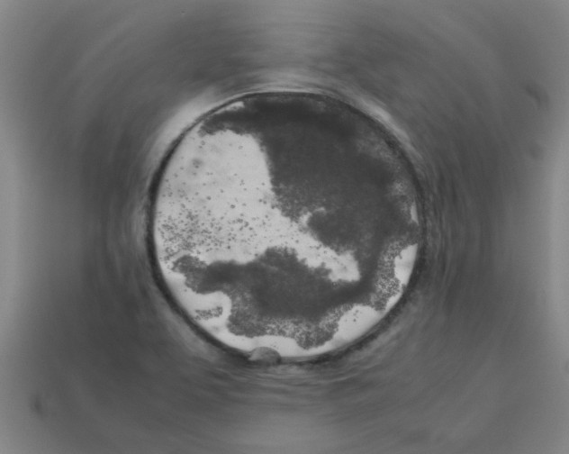 X0000112751463200910011144