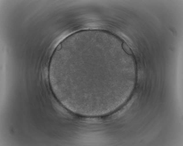 X0000112751465200910011144