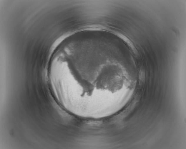 X0000112751466200910011144