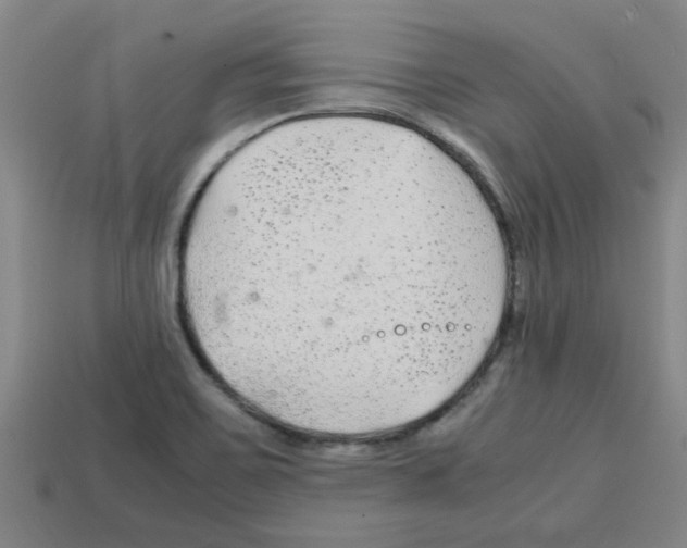 X0000112751467200910011144