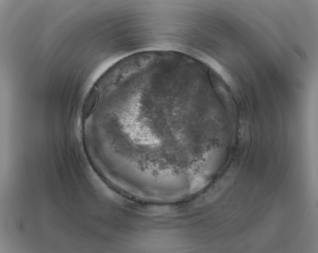 X0000112751468200910011144