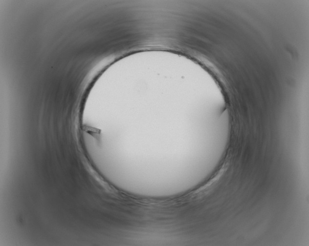 X0000112751469200910011144