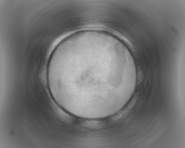 X0000112751470200910011144