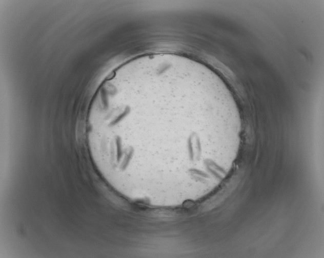 X0000112751473200910011144