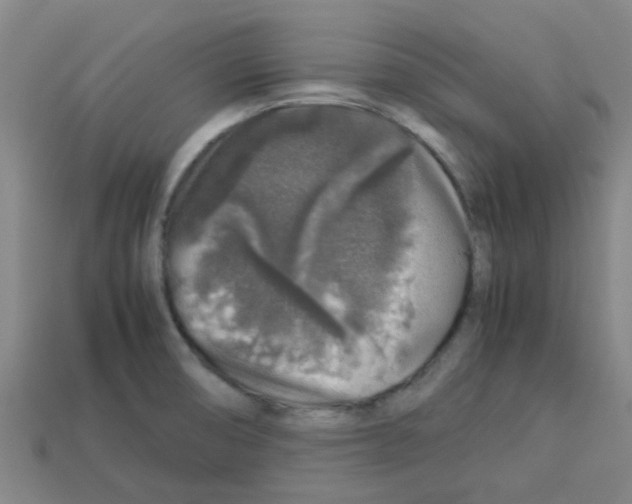 X0000112751474200910011144