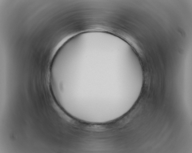 X0000112751476200910011144