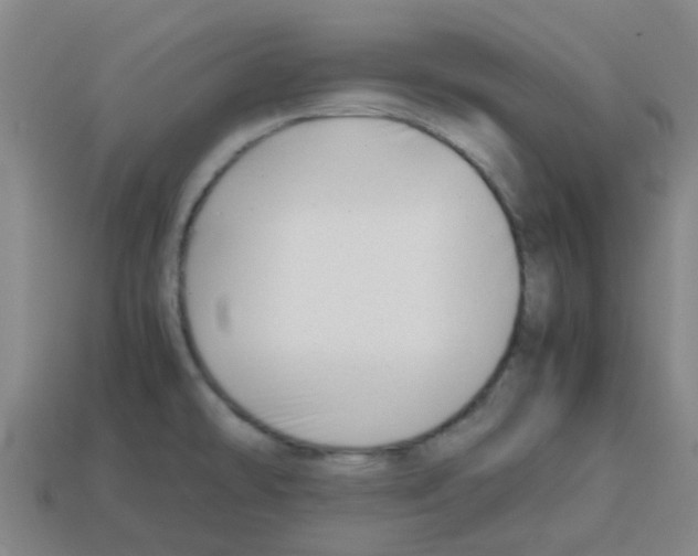 X0000112751478200910011144