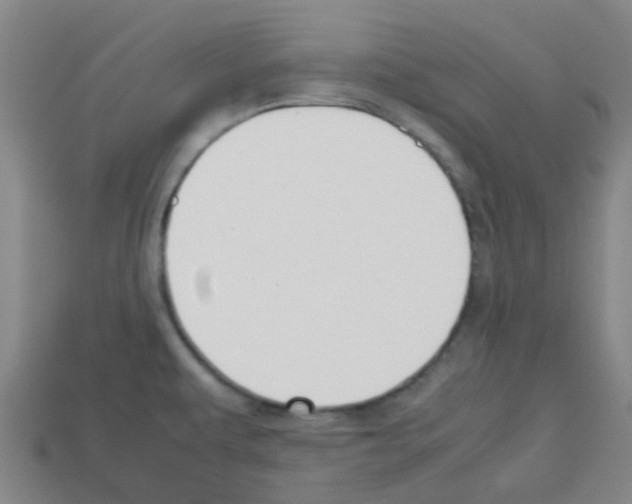 X0000112751479200910011144