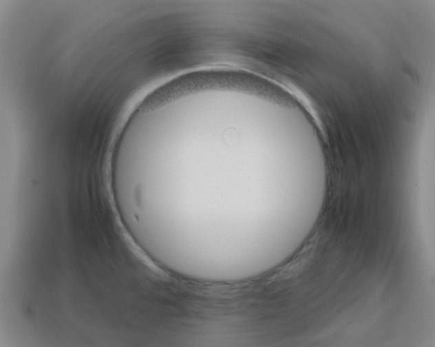 X0000112751480200910011144