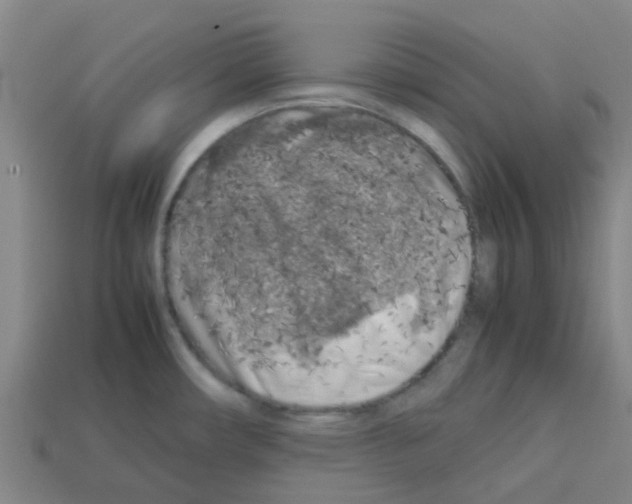 X0000112751482200910011144