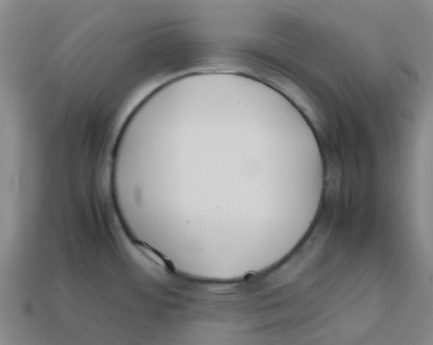 X0000112751484200910011144