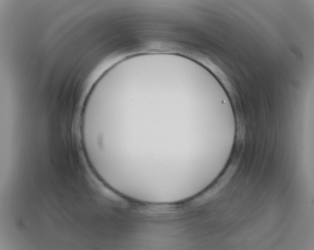 X0000112751486200910011143