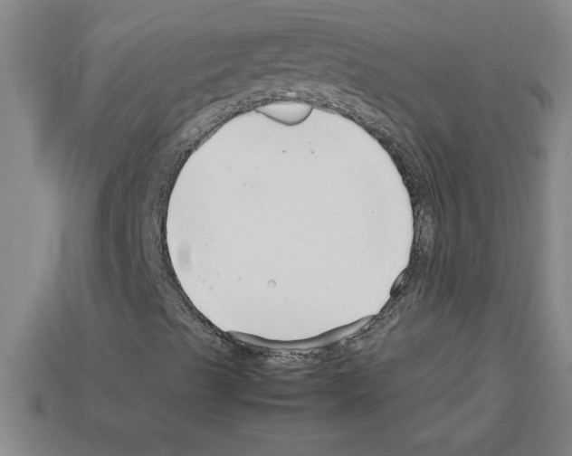 X0000112751489200910011143