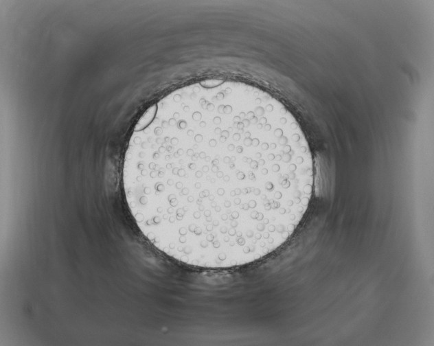 X0000112751491200910011143