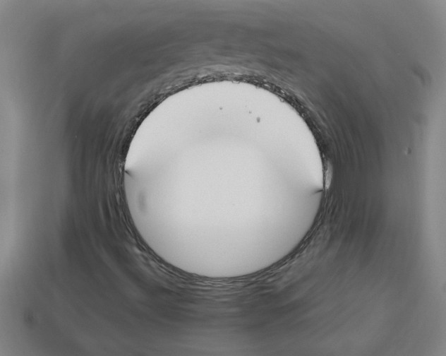 X0000112751492200910011143