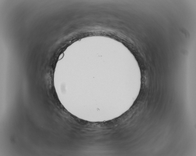 X0000112751493200910011143