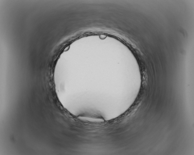 X0000112751494200910011143