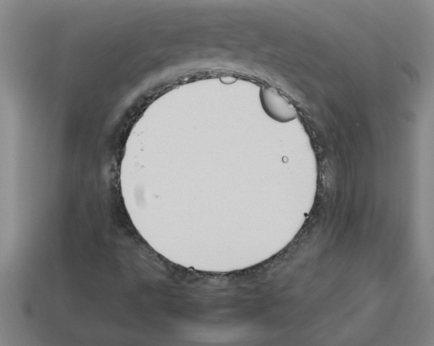 X0000112751495200910011143