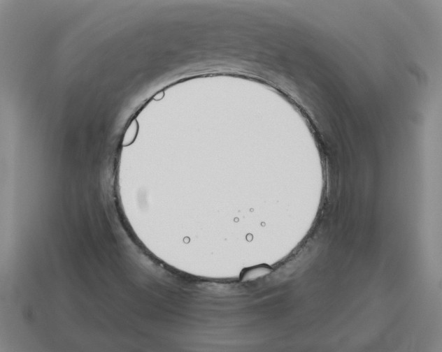 X0000112751500200910011143