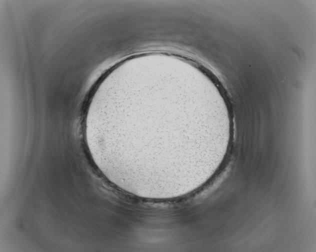 X0000112751501200910011143