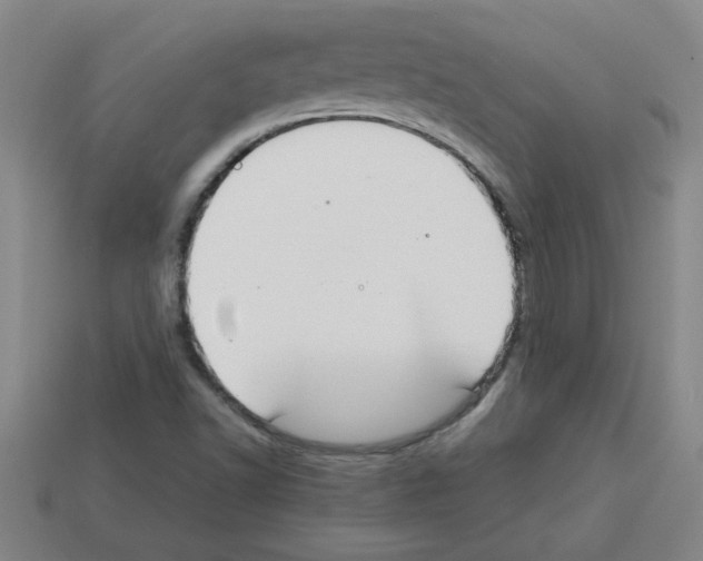 X0000112751502200910011143