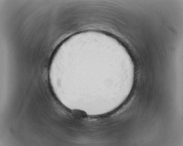 X0000112751505200910011143