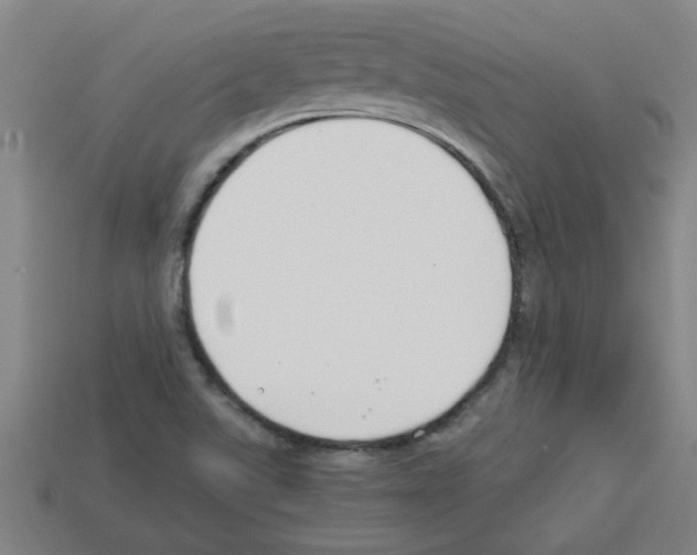 X0000112751507200910011143