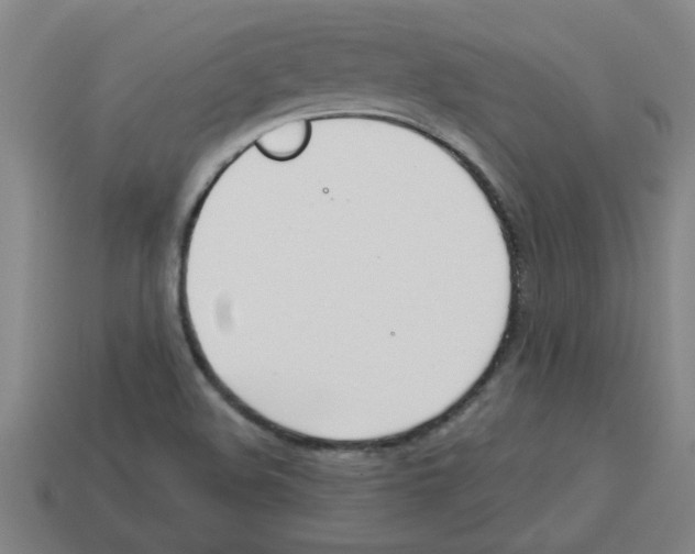 X0000112751508200910011143