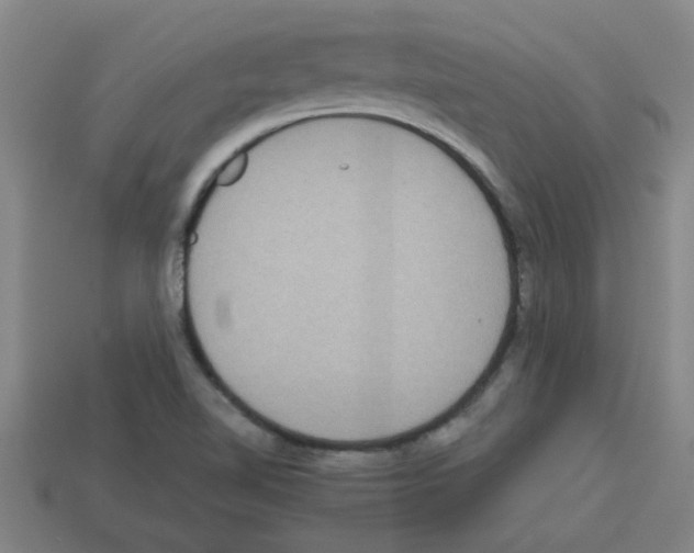 X0000112751510200910011143