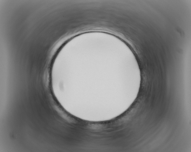 X0000112751511200910011143