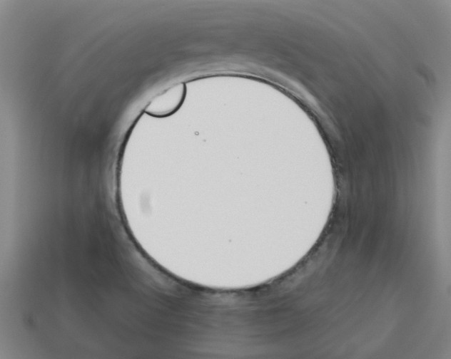 X0000112751512200910011143